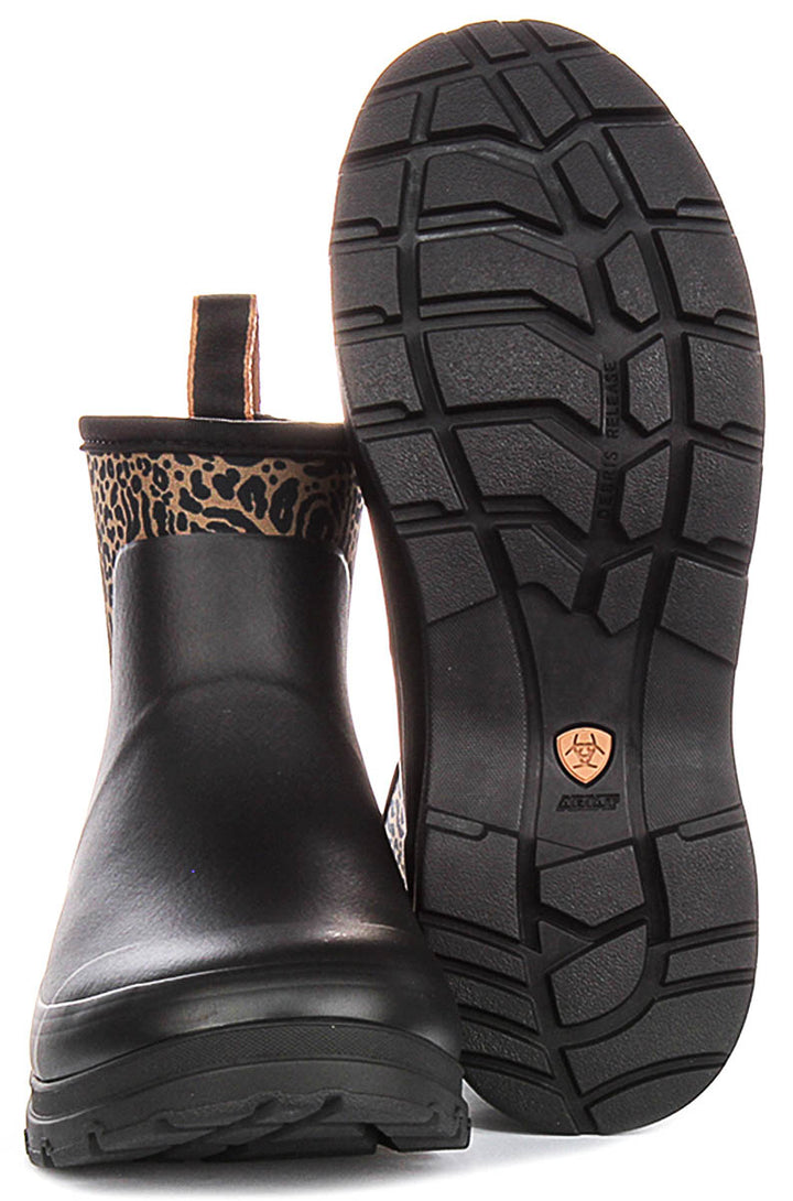 Ariat Kelmarsh Shorti In Black For Women