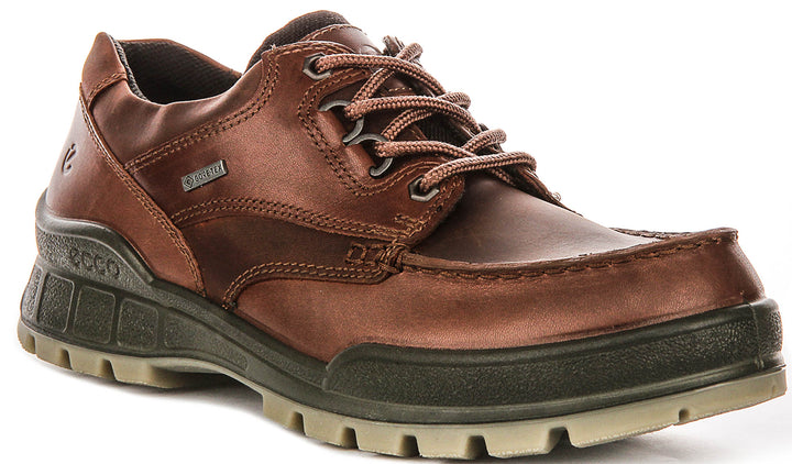 Ecco TRACK 25 M GTX In Brown for Men