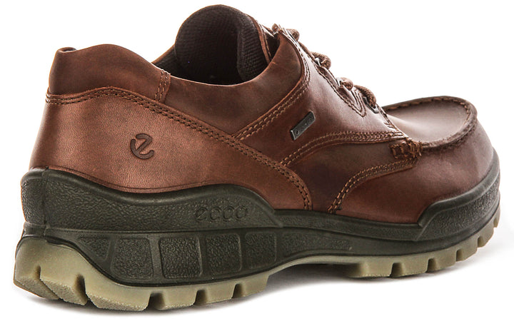 Ecco TRACK 25 M GTX In Brown for Men