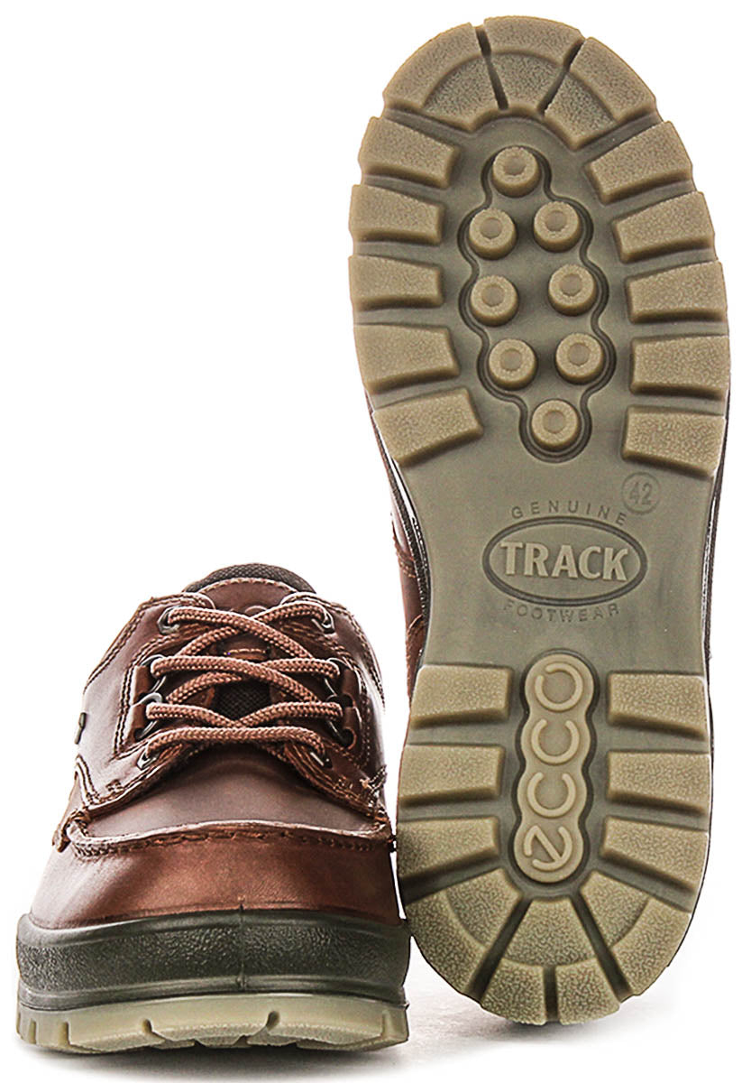 Ecco TRACK 25 M GTX In Brown for Men