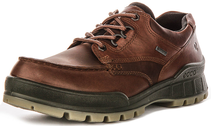Ecco TRACK 25 M GTX In Brown for Men