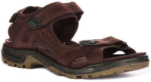 Ecco Offroad Sandals In Brown for Men