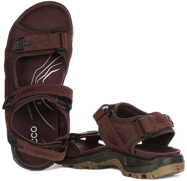 Ecco Offroad Sandals In Brown for Men