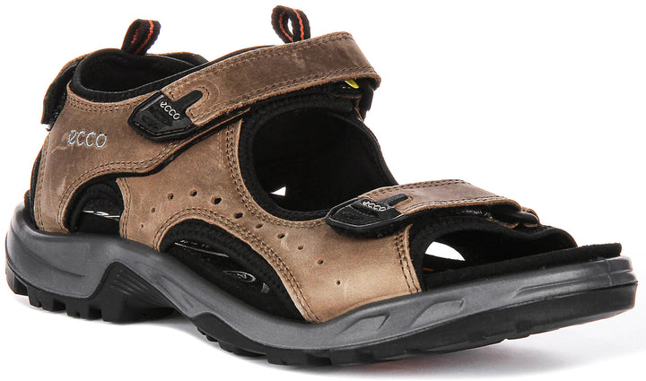 Ecco Offroad In Brown For Men
