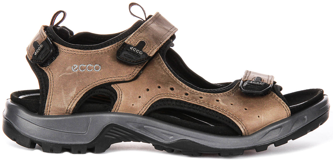 Ecco Offroad In Brown For Men