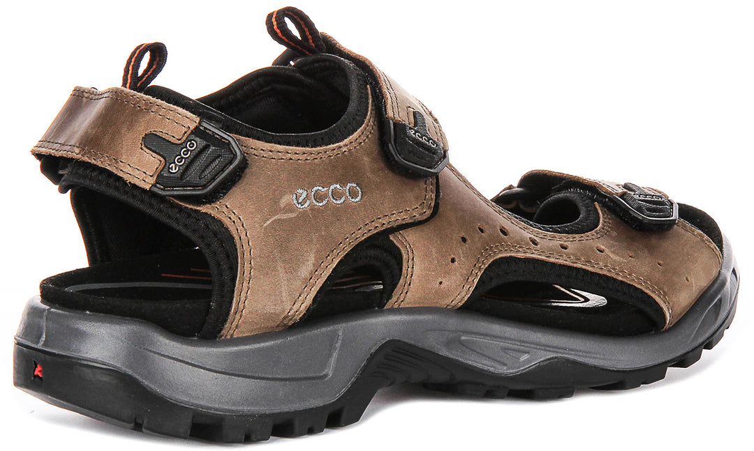 Ecco Offroad In Brown For Men