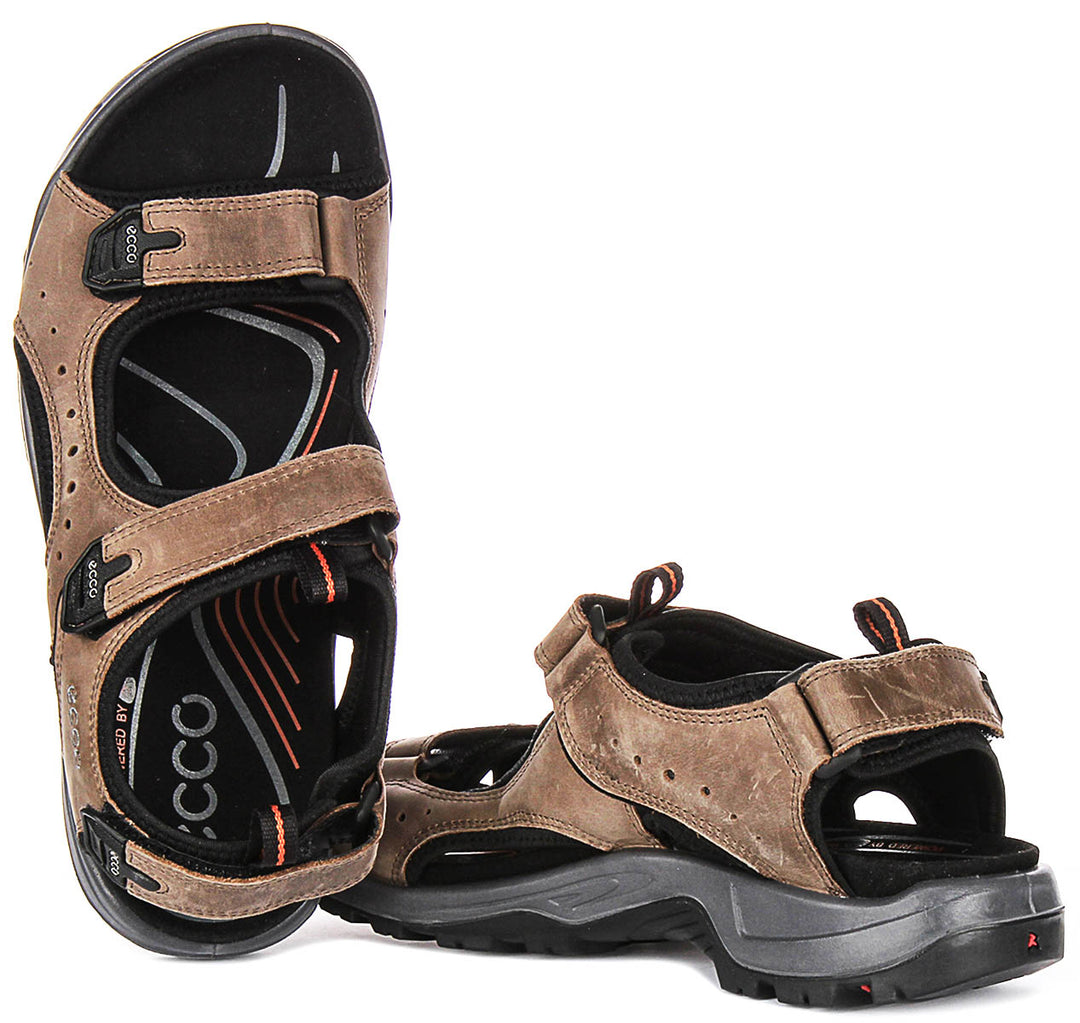 Ecco Offroad In Brown For Men