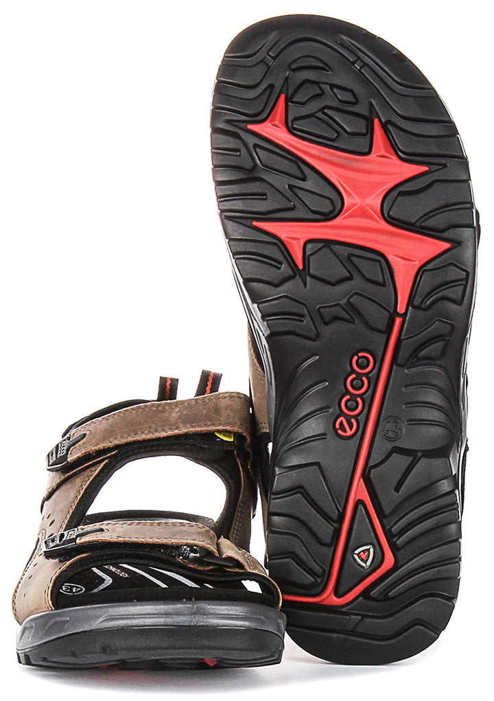 Ecco Offroad In Brown For Men
