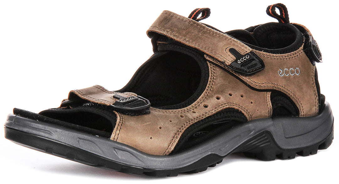 Ecco Offroad In Brown For Men