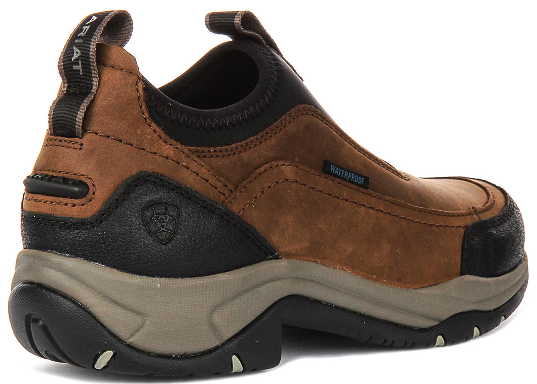 Ariat Terrain Ease Waterproof In Brown For Women