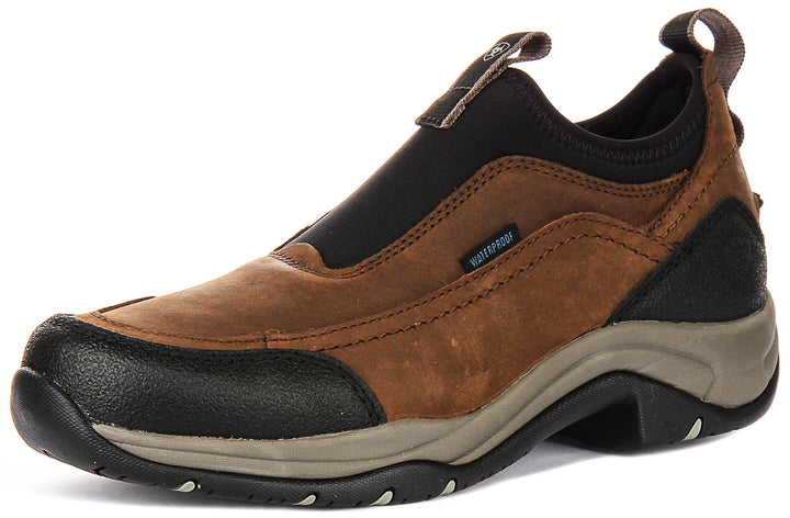 Ariat Terrain Ease Waterproof In Brown For Women