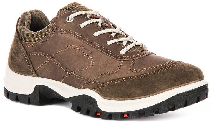 Ecco Xpedition III In Brown For Women