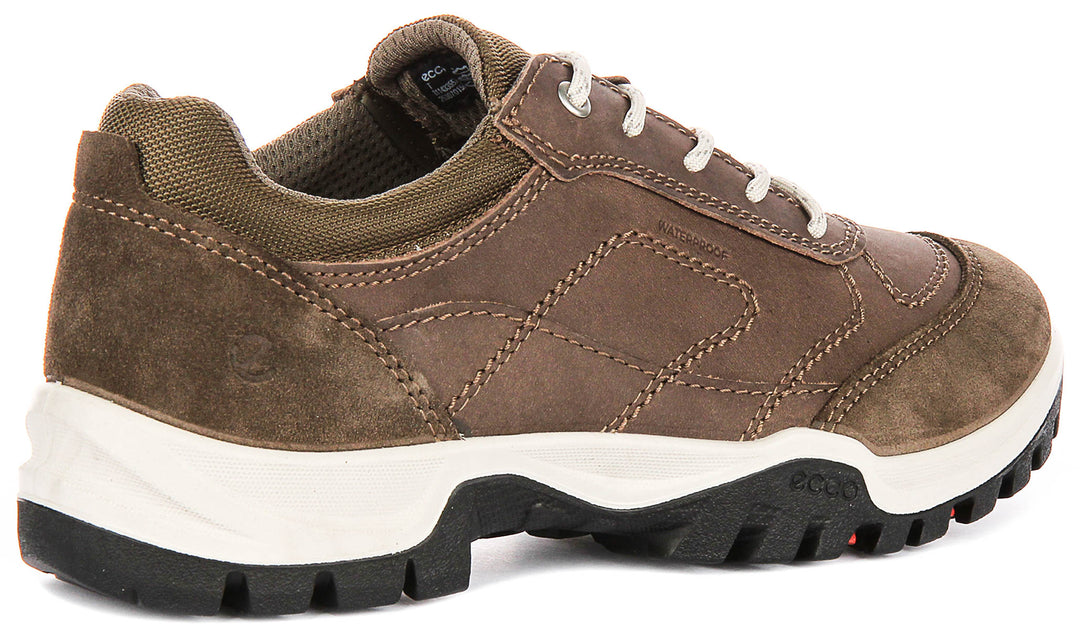 Ecco Xpedition III In Brown For Women
