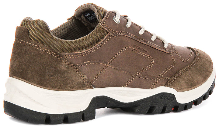 Ecco Xpedition III In Brown For Women