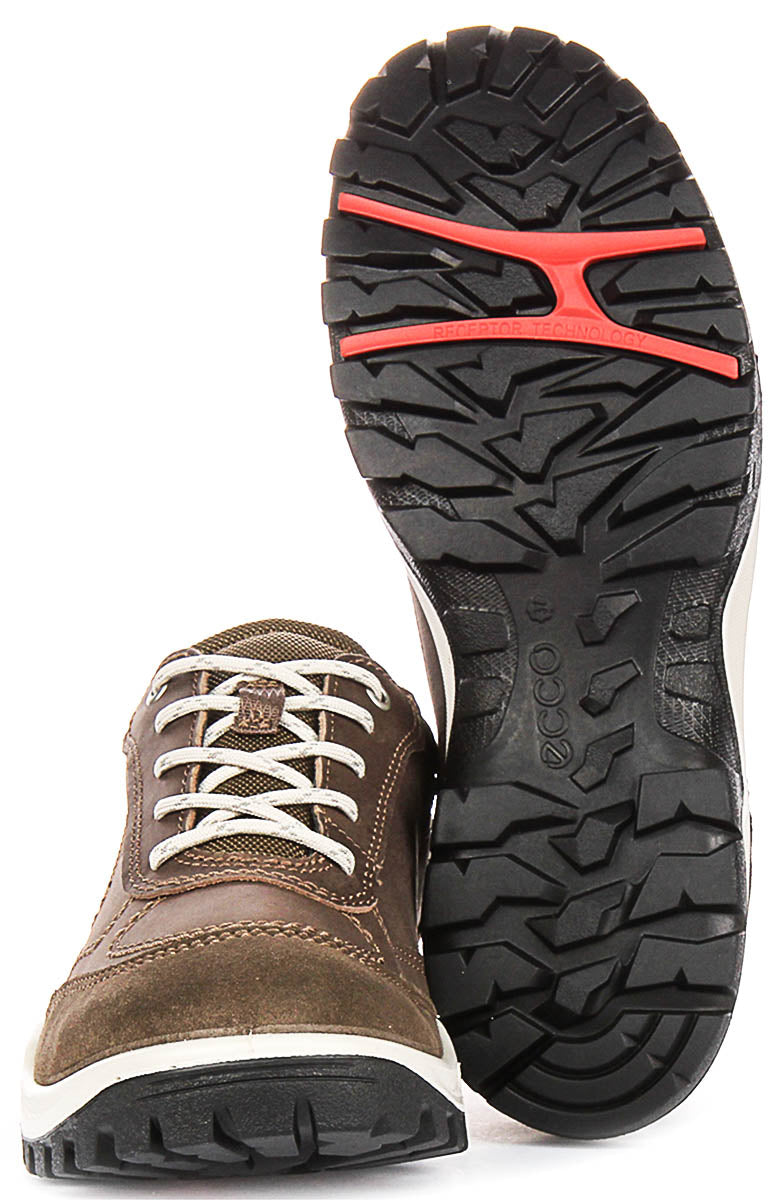 Ecco Xpedition III In Brown For Women