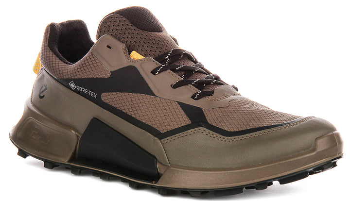 Ecco Biom 2.1 X Mountain In Brown For Men