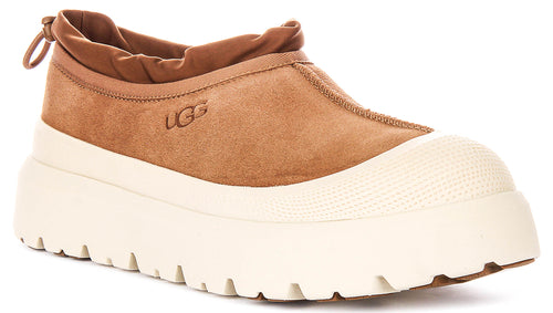 Ugg Australia Tasman Weather In Chestnut For Men