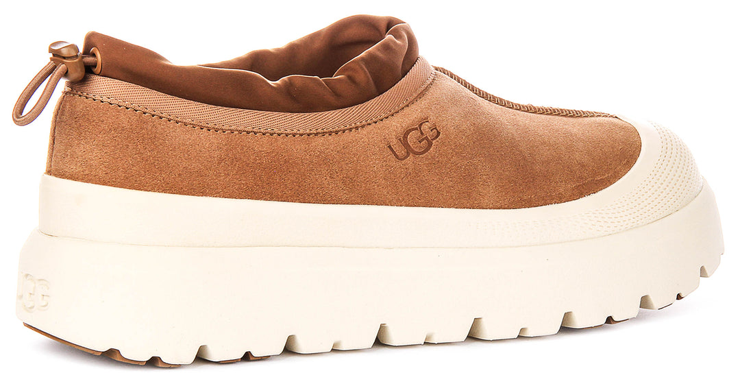 Ugg Australia Tasman Weather In Chestnut For Men