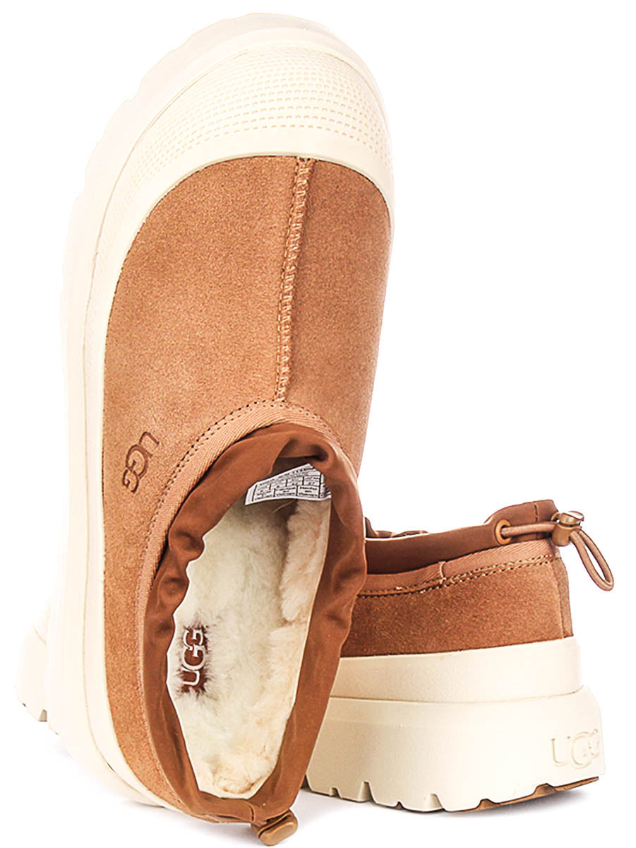 Ugg Australia Tasman Weather In Chestnut For Men