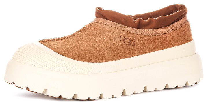 Ugg Australia Tasman Weather In Chestnut For Men