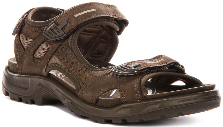 Ecco Offroad In Brown For Men