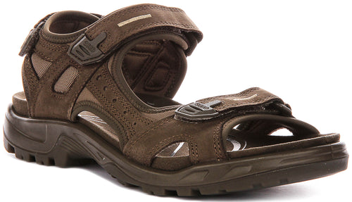 Ecco Offroad In Brown For Men