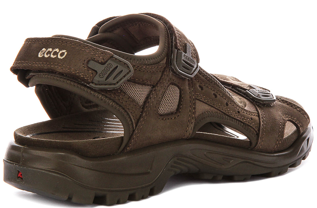 Ecco Offroad In Brown For Men