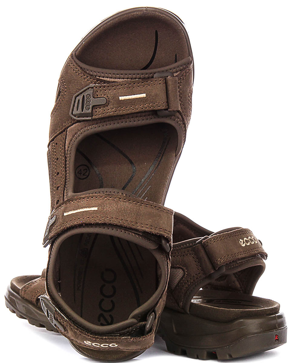 Ecco Offroad In Brown For Men
