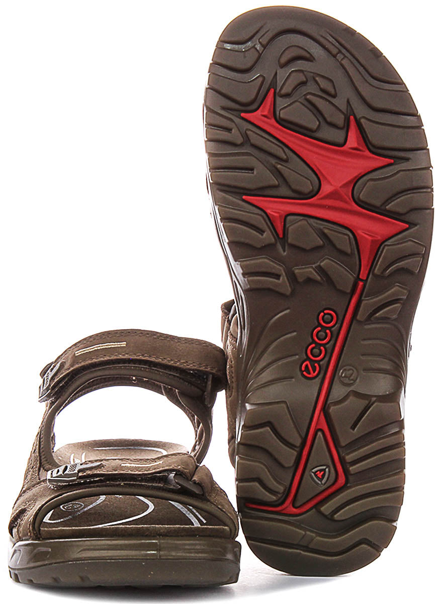 Ecco Offroad In Brown For Men