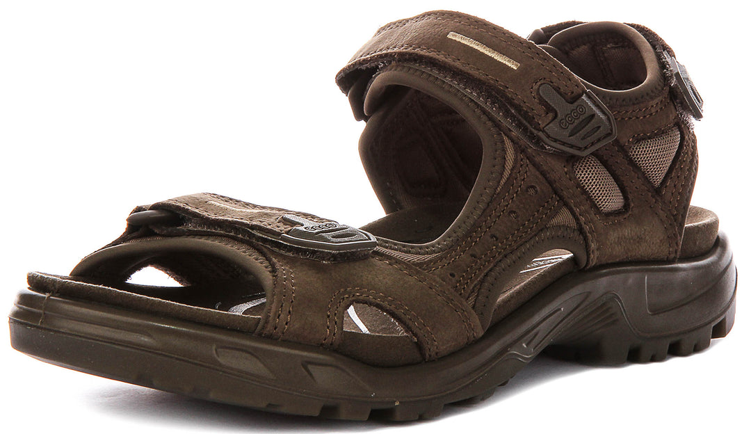 Ecco Offroad In Brown For Men