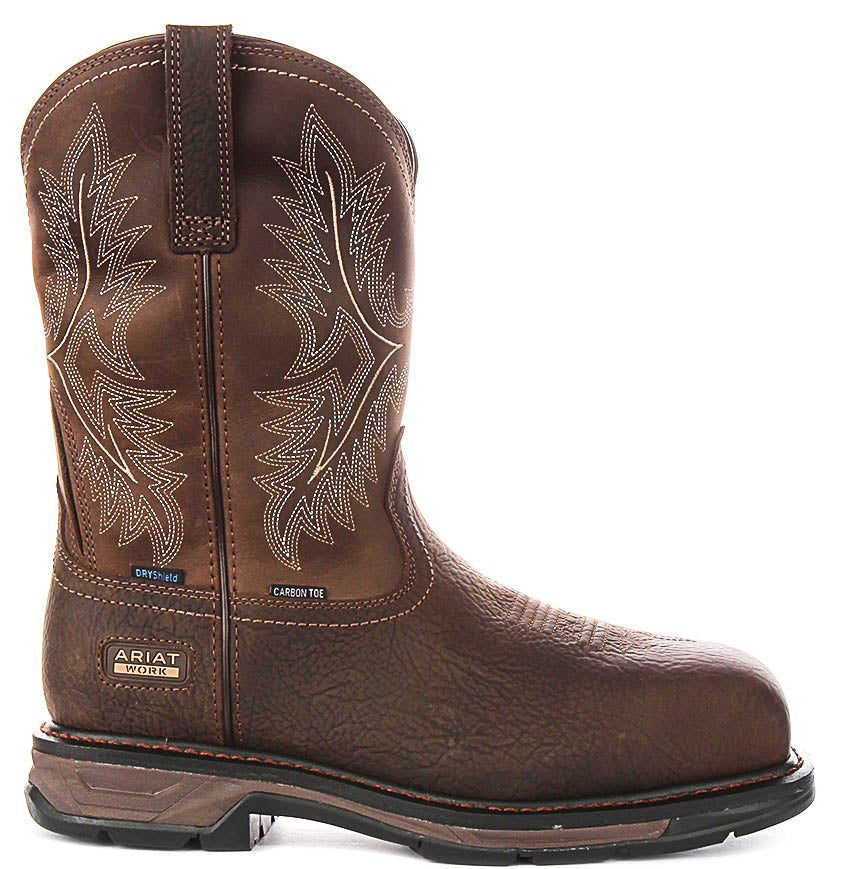 Ariat Workhog Xt H2O In Brown For Men