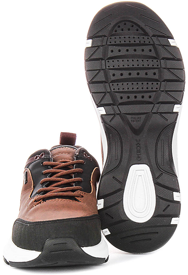 Geox U Senales B In Brown Black For Men