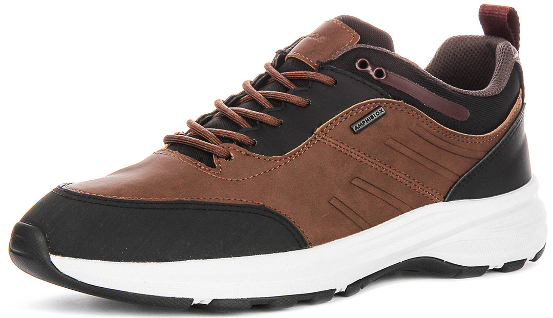 Geox U Senales B In Brown Black For Men