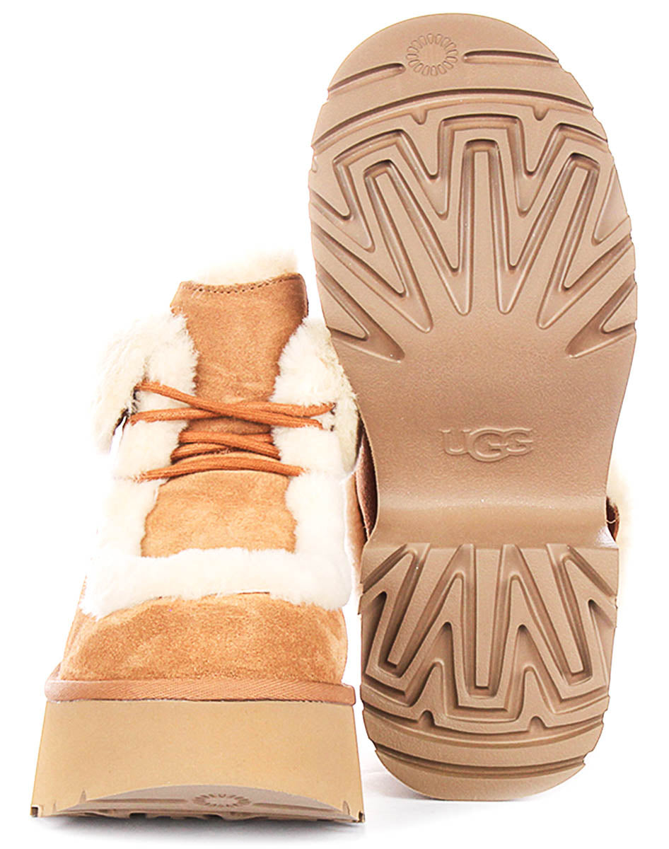 Ugg Australia Esmee Lace Up In Chestnut For Women