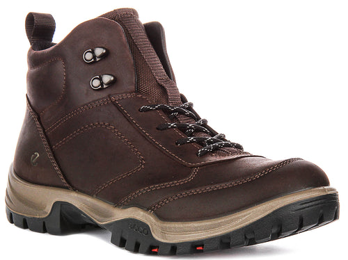 Ecco Xpedition III M In Coffee For Men