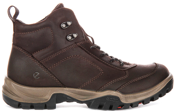 Ecco Xpedition III M In Coffee For Men