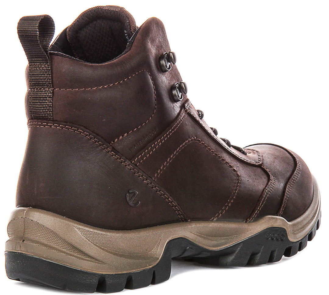 Ecco Xpedition III M In Coffee For Men