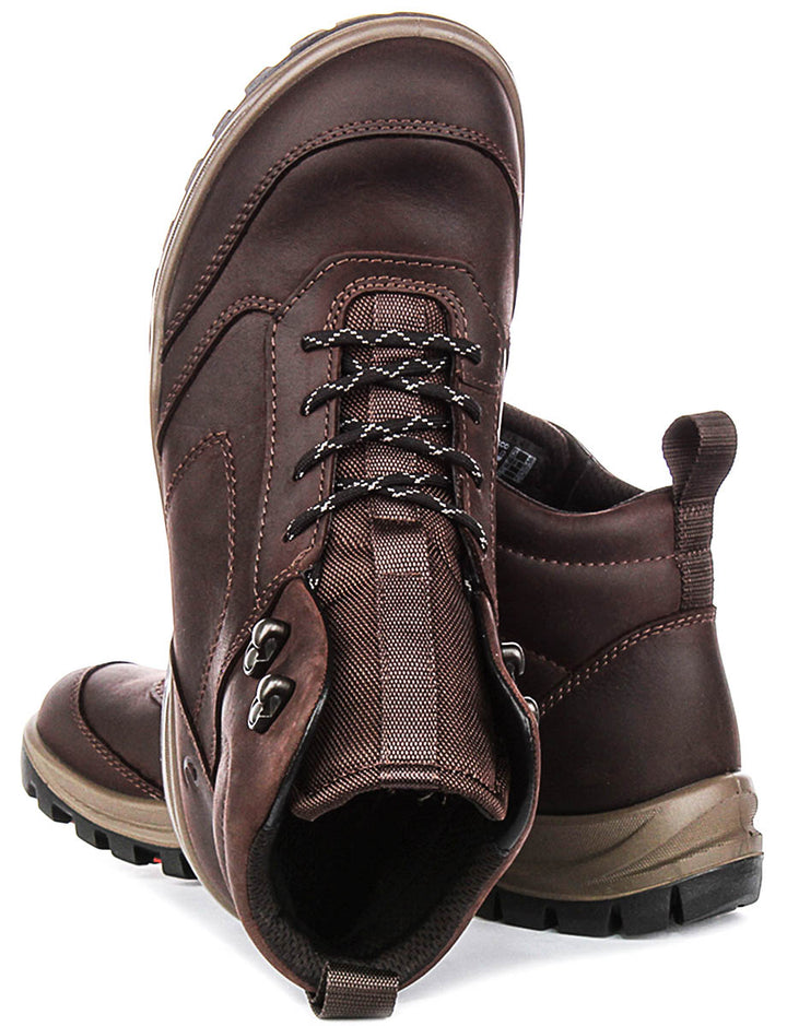 Ecco Xpedition III M In Coffee For Men