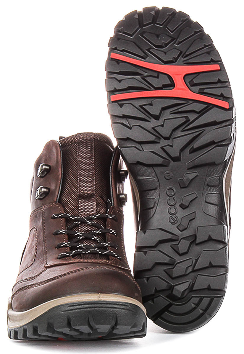 Ecco Xpedition III M In Coffee For Men