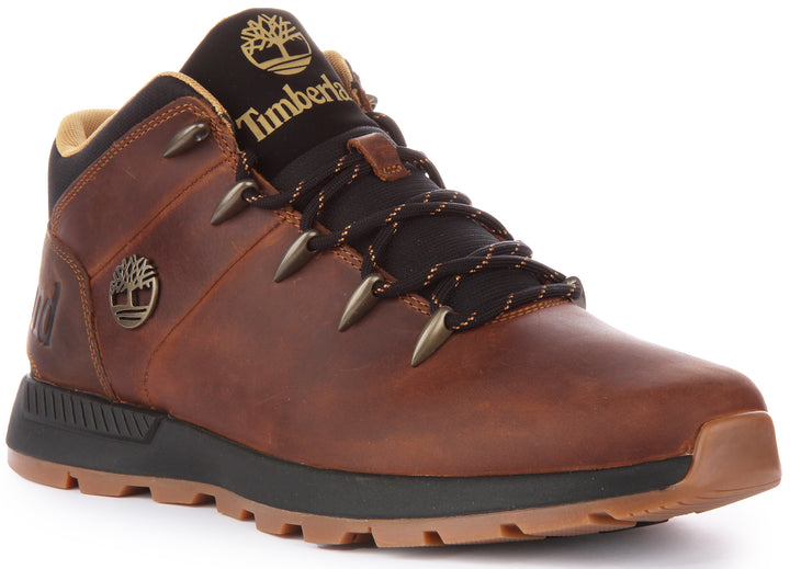 Timberland Sprint Trekker Bottines basses en cuir à lacets pour hommes en brun foncé