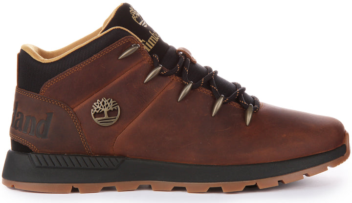 Timberland Sprint Trekker Bottines basses en cuir à lacets pour hommes en brun foncé