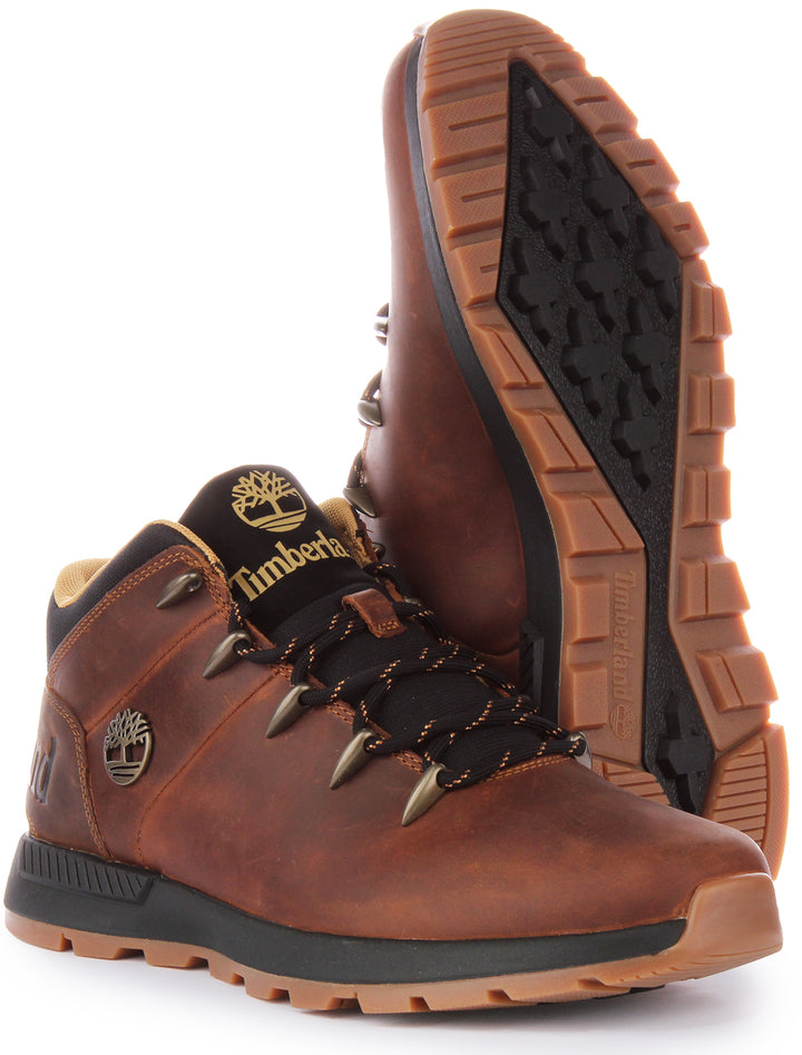 Timberland Sprint Trekker Bottines basses en cuir à lacets pour hommes en brun foncé