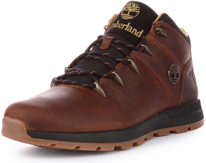 Timberland Sprint Trekker Bottines basses en cuir à lacets pour hommes en brun foncé