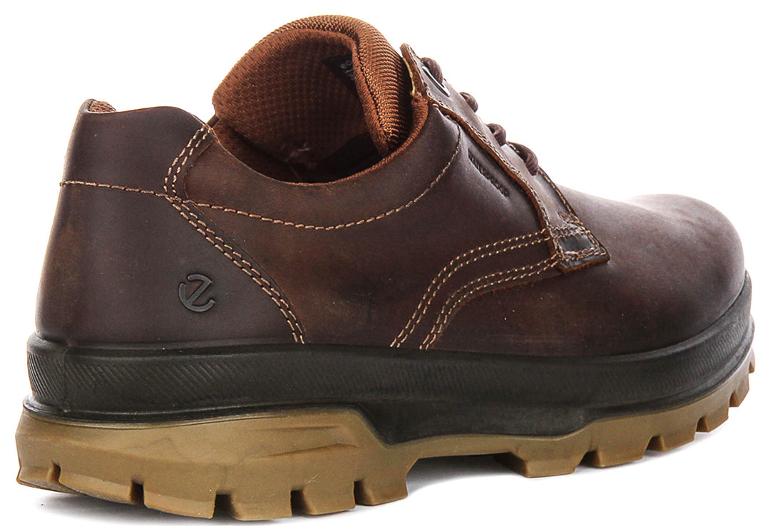 Ecco Rugged Track In Dark Brown For Men