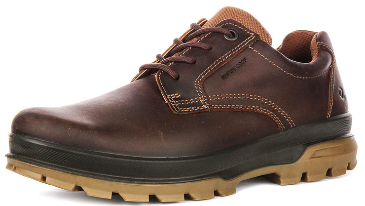 Ecco Rugged Track In Dark Brown For Men