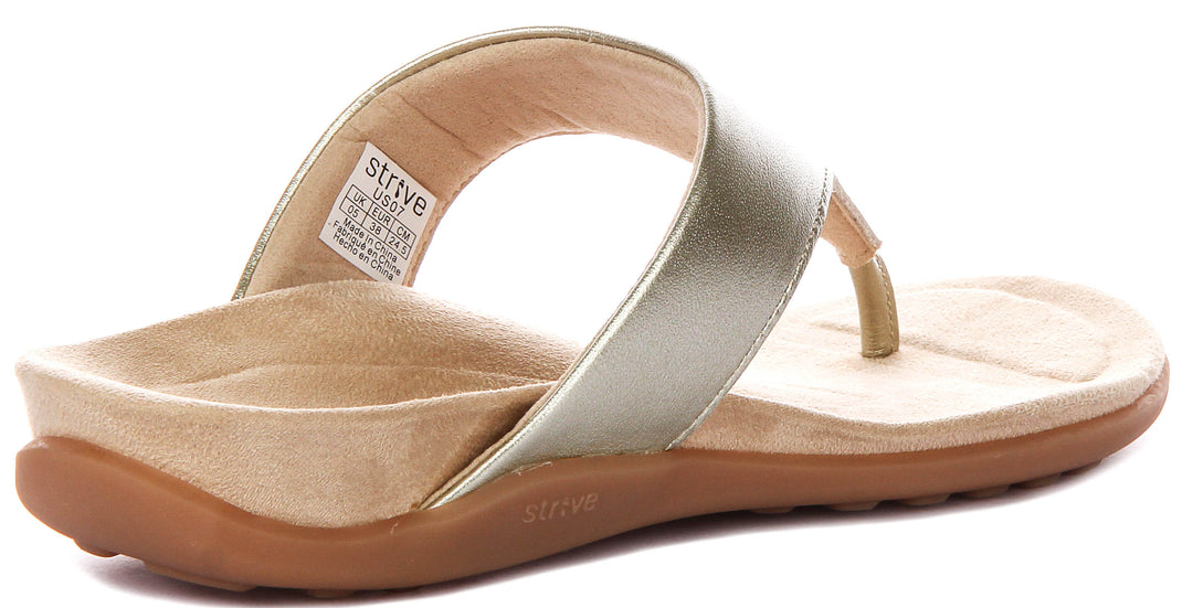 Strive Antibes In Gold For Women