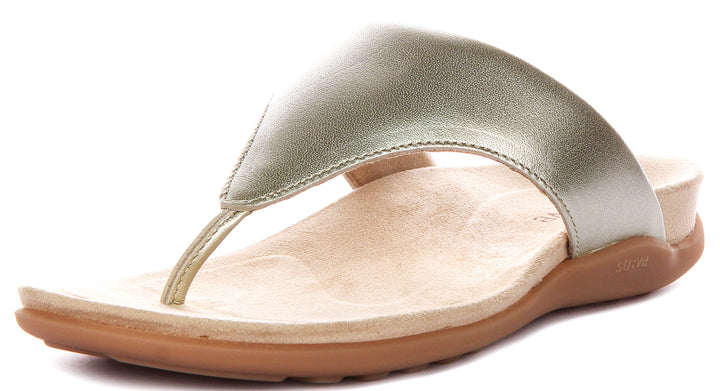 Strive Antibes In Gold For Women