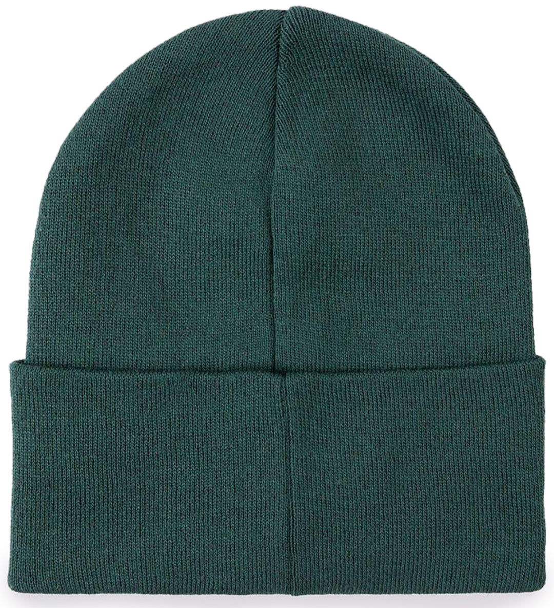 Replay P Beanie Hat In Green