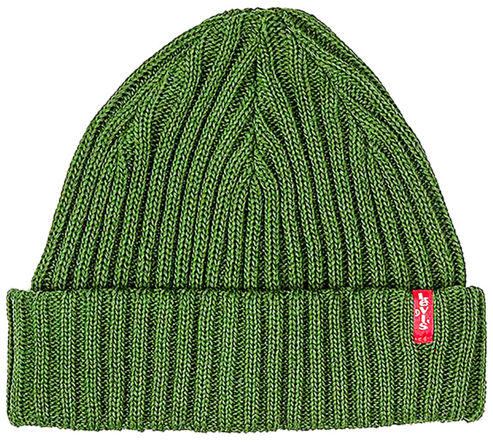 Levi Ribbed Beanie Hat In Green
