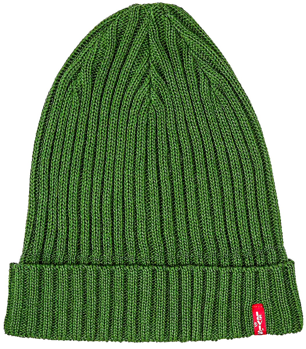 Levi Ribbed Beanie Hat In Green